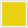 Aztec Yellow